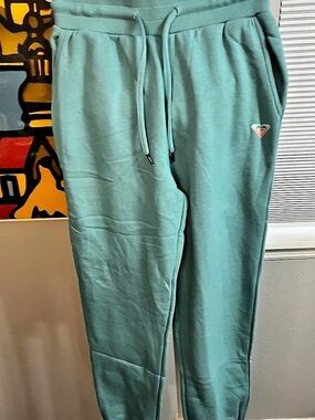 Roxy Cozy Jogger Women Pants in Green blue Size Small NWT